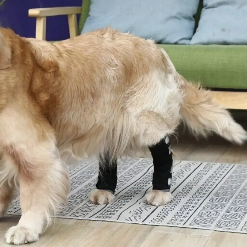 Dog Rear Leg Knee Braces - Pair - Hock Joint Wrap Support Injuries Size Medium